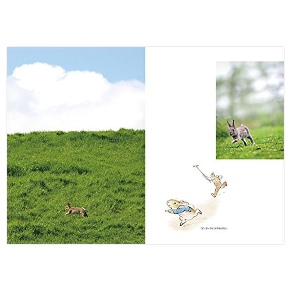 ピーターラビット(TM)の仲間たち 写真集