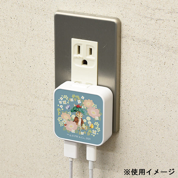 USB/USB Type-C ACアダプタ (ブルー)