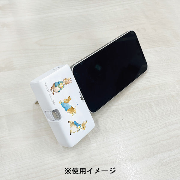 Lightning Type-C コネクタ付き リチウムイオン充電器 400mAh（ピーターラビット）