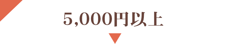 5000円以上