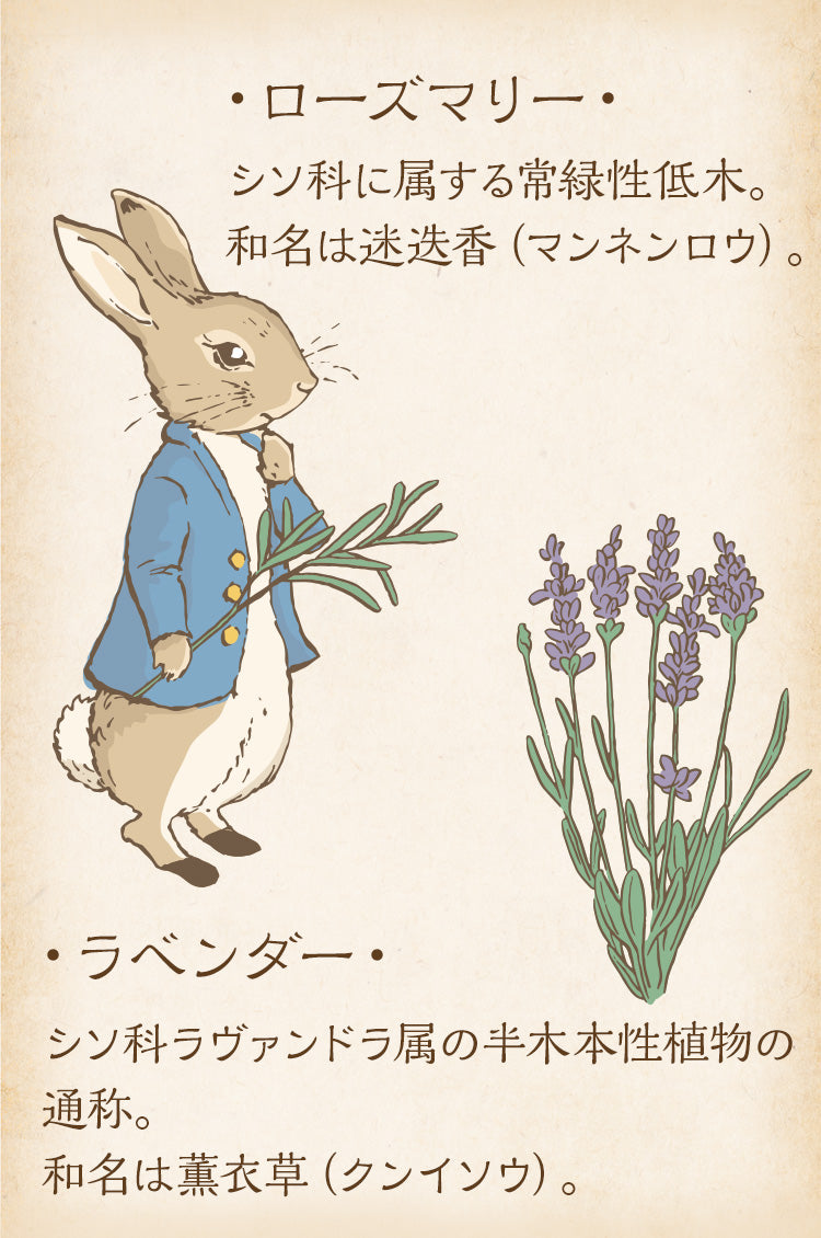 ラベンダー