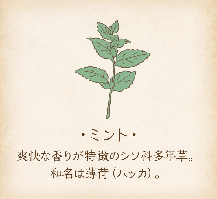 ミント(はっか)