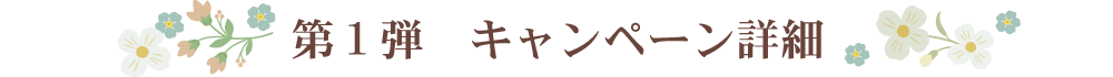 第1弾キャンペーン詳細